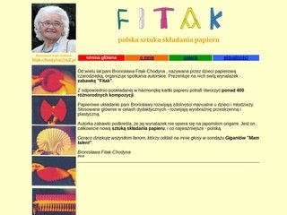 Podgląd fitak.pl
