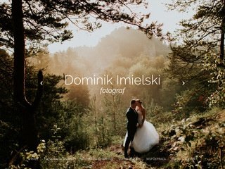 Podgląd viliar.com