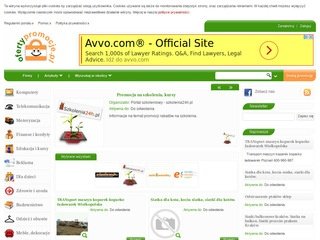 Podgląd ofertypromocje.pl