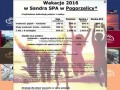 Podgląd sandraspa.eu