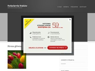 Podgląd kwiaciarenka-krakow.pl