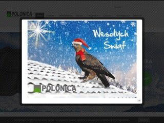 Miniaturka polonica.com.pl