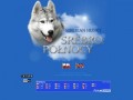 Podgląd srebro-polnocy.pl