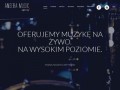 Podgląd anseba.com
