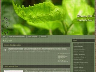 Podgląd openiq.pl