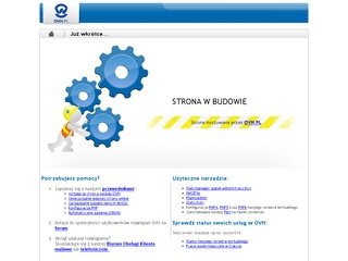 Podgląd powerizerteam.com