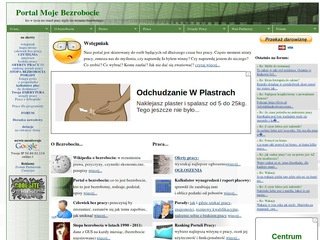 Podgląd mojebezrobocie.pl