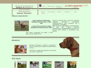 Podgląd bena.pl