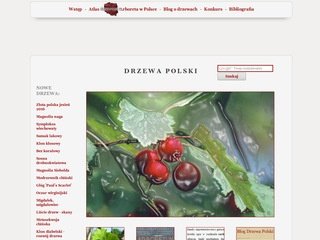 Podgląd drzewapolski.pl