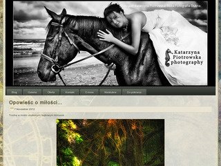 Podgląd piotrowska.net