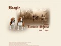 Podgląd beagle.net.pl