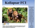 Podgląd kollapsar.com.pl