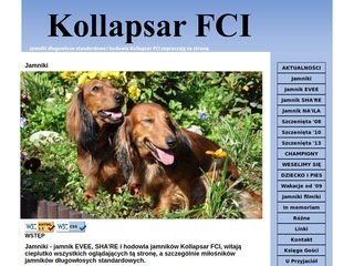 Podgląd kollapsar.com.pl