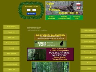 Podgląd deby.bialowieza.pl