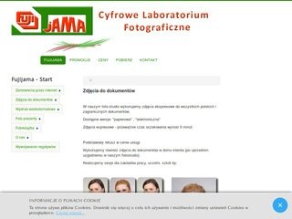 Podgląd fujijama.pl