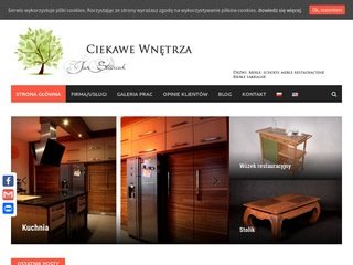 Podgląd ciekawe-wnetrza.pl