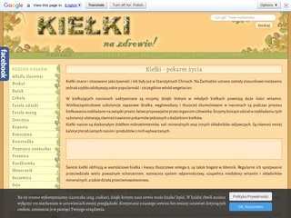 Podgląd kielki.info