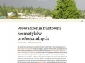 Podgląd pcplaneta.pl