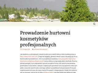 Podgląd pcplaneta.pl