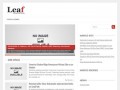 Podgląd liho.pl