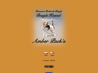 Podgląd amberpack.pl