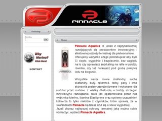 Podgląd pinnacle.info.pl