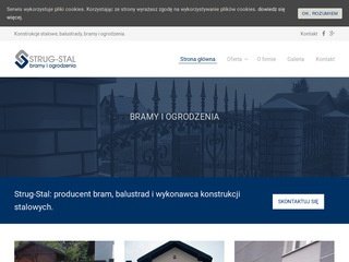 Podgląd strug-stal.pl