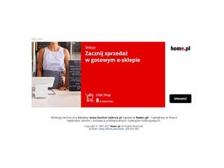 Podgląd kantor-zabrze.pl