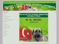 Podgląd anatolian.pl