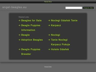Podgląd angel-beagles.eu
