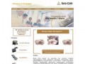 Podgląd euro-coin.com.pl