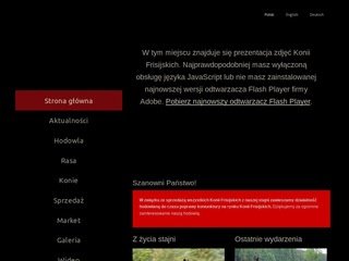 Podgląd friso.com.pl