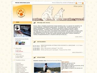 Podgląd podajlape.pl