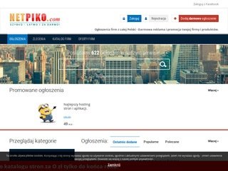 Podgląd netpiko.com
