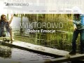 Podgląd wiktorowo.com