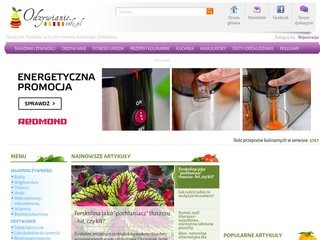 Podgląd odzywianie.info.pl