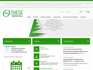 Miniaturka theta-doradztwo.pl