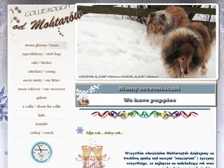 Podgląd collie.mohtar.pl