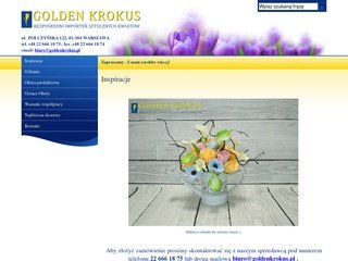Podgląd goldenkrokus.pl