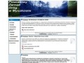 Podgląd pzd.myszkow.pl