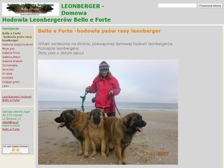 Podgląd leobelloeforte.pl
