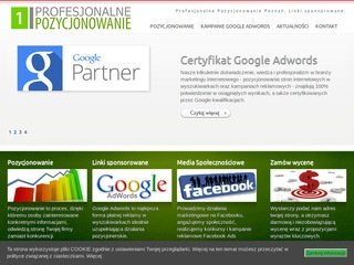 Podgląd profesjonalne-pozycjonowanie.pl