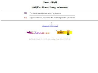 Podgląd b-skin.com.pl