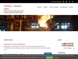Podgląd ferrex.pl