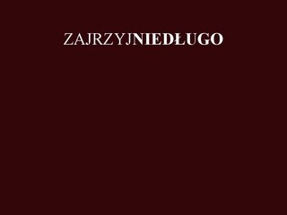 Podgląd dajpyska.pl