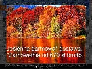 Podgląd stojakinarowery.com.pl