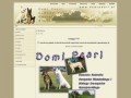 Podgląd domipearl.pl