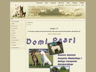 Podgląd domipearl.pl