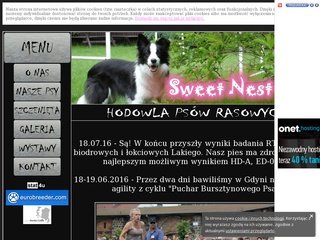 Podgląd sweetnest.republika.pl