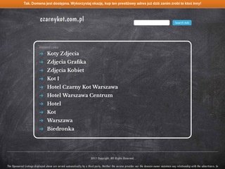 Podgląd czarnykot.com.pl